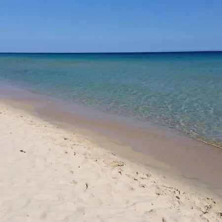 Calamarina Nyaraló *