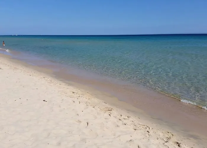 Calamarina Nyaraló *