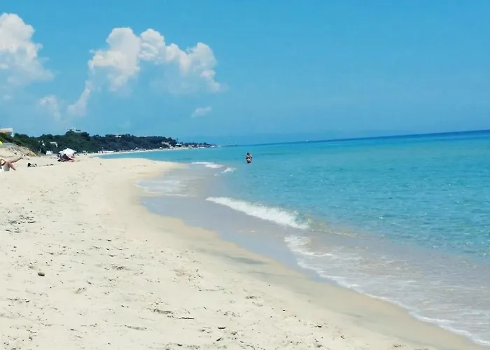 Calamarina