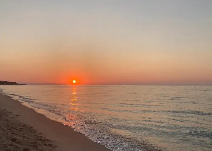 Nyaraló Calamarina